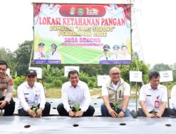 Bupati Tangerang Resmikan Greenhouse dan Panen Perdana Melon di Desa Sodong