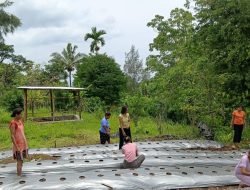 Wanita dan Ekologi: Sebuah Perspektif Kekinian
