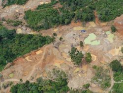 WALHI SUMUT Dukung Aparat Penegak Hukum Tindak Tegas Aktivitas Tambang Ilegal.