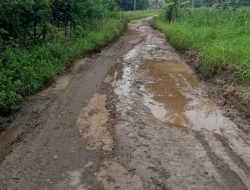 Memprihatinkan! Jalan Desa Pelanggaran, Mulangmaya, Kotabumi Selatan Rusak Parah – Warga Tuntut Aksi Nyata Pemerintah