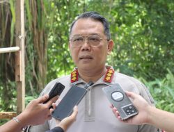 Lumpuhkan DPO KKB Penembak Rombongan Jenderal Tito Karnavian, Satgas Damai Cartenz 2026 Tegakkan Hukum di Puncak Jaya