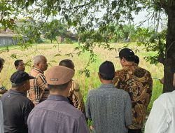 Sengketa Lahan Medan Labuhan, PN Medan Mulai Temukan Titik Terang