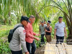 Tanggapi Laporan Masyarakat, Polsek Marbau Selidiki dan Amankan Lokasi Peredaran Narkoba di Desa Belungkut