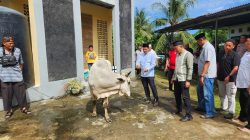 Idul Adha 1447 H, Polresta Manado Tebarkan Kepedulian Melalui Penyembelihan dan Penyaluran Hewan Kurban