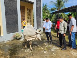 Idul Adha 1447 H, Polresta Manado Tebarkan Kepedulian Melalui Penyembelihan dan Penyaluran Hewan Kurban