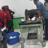 Konfirmasi Langsung dari Pihak TNI Terkait Ledakan BOM di Gereja Intan Jaya Papua