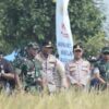 Wakapolda Banten Dorong Sinergi Ketahanan Pangan Melalui Panen Raya dan Gerakan Tanam Jagung Hibrida PS-08