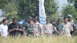 Wakapolda Banten Dorong Sinergi Ketahanan Pangan Melalui Panen Raya dan Gerakan Tanam Jagung Hibrida PS-08