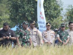 Wakapolda Banten Dorong Sinergi Ketahanan Pangan Melalui Panen Raya dan Gerakan Tanam Jagung Hibrida PS-08